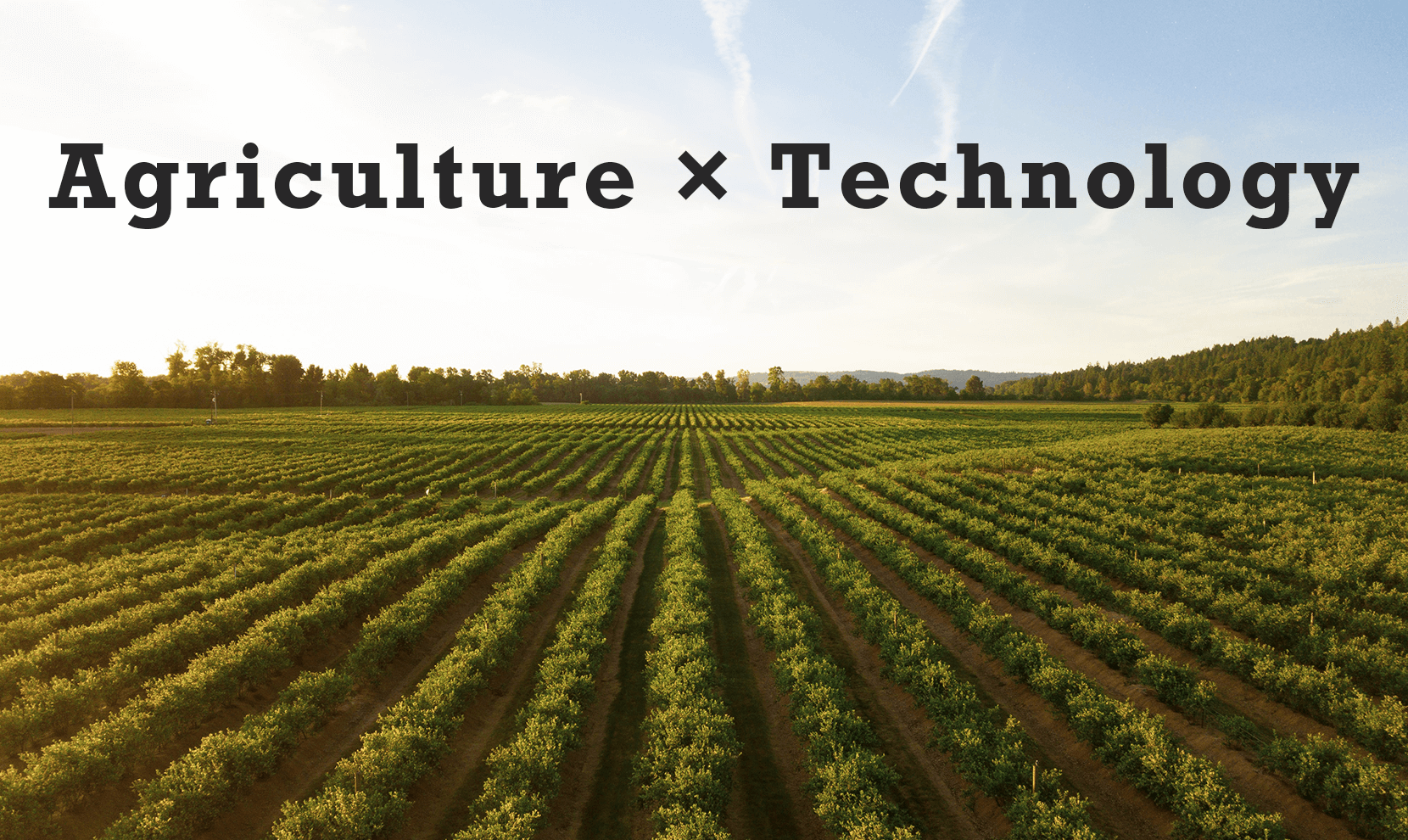 フィリピンで注目のAgritech(アグリテック)スタートアップ6社
